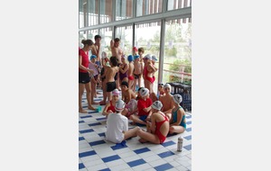 Amicale natation : avenirs TOEC, CNC, Portet/Garonne