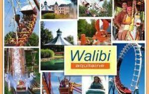 Liste des participants pour WALIBI  le 2 juin 2013
