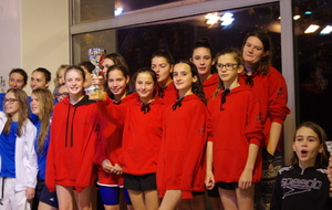 2016_11_12 Article DDM