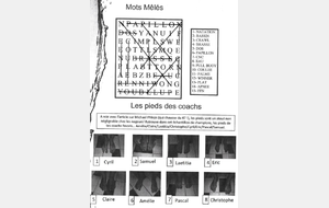Les réponses &quot;jeu&quot;du barboteur 2016-2017
