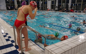 5c4dff849d7c9_DSC09612.JPG