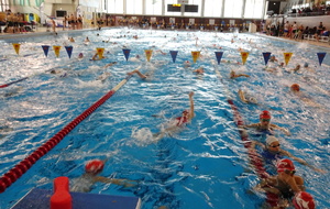 5e5b8bc61e3b7_DSC01685.JPG