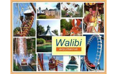 Liste des participants pour WALIBI  le 2 juin 2013