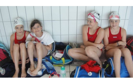 Article DDM du 11_06_2015