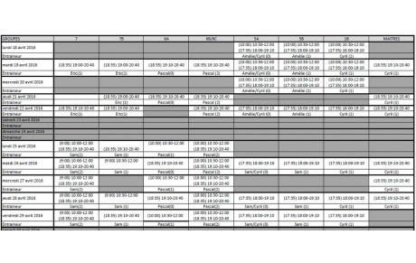 Planning groupes compétitions vacances avril 2016