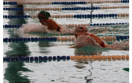 2017_07_29 Article DDM