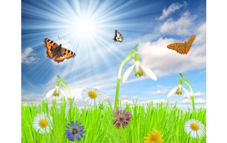 Planning Vacances de Printemps