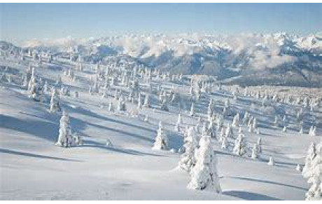 Créneaux groupes compétitions Vacances d'hiver
